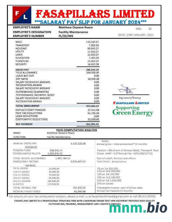 Nigeria Fasapillars Limited corporate office payslip szablon w formacie Word i PDF